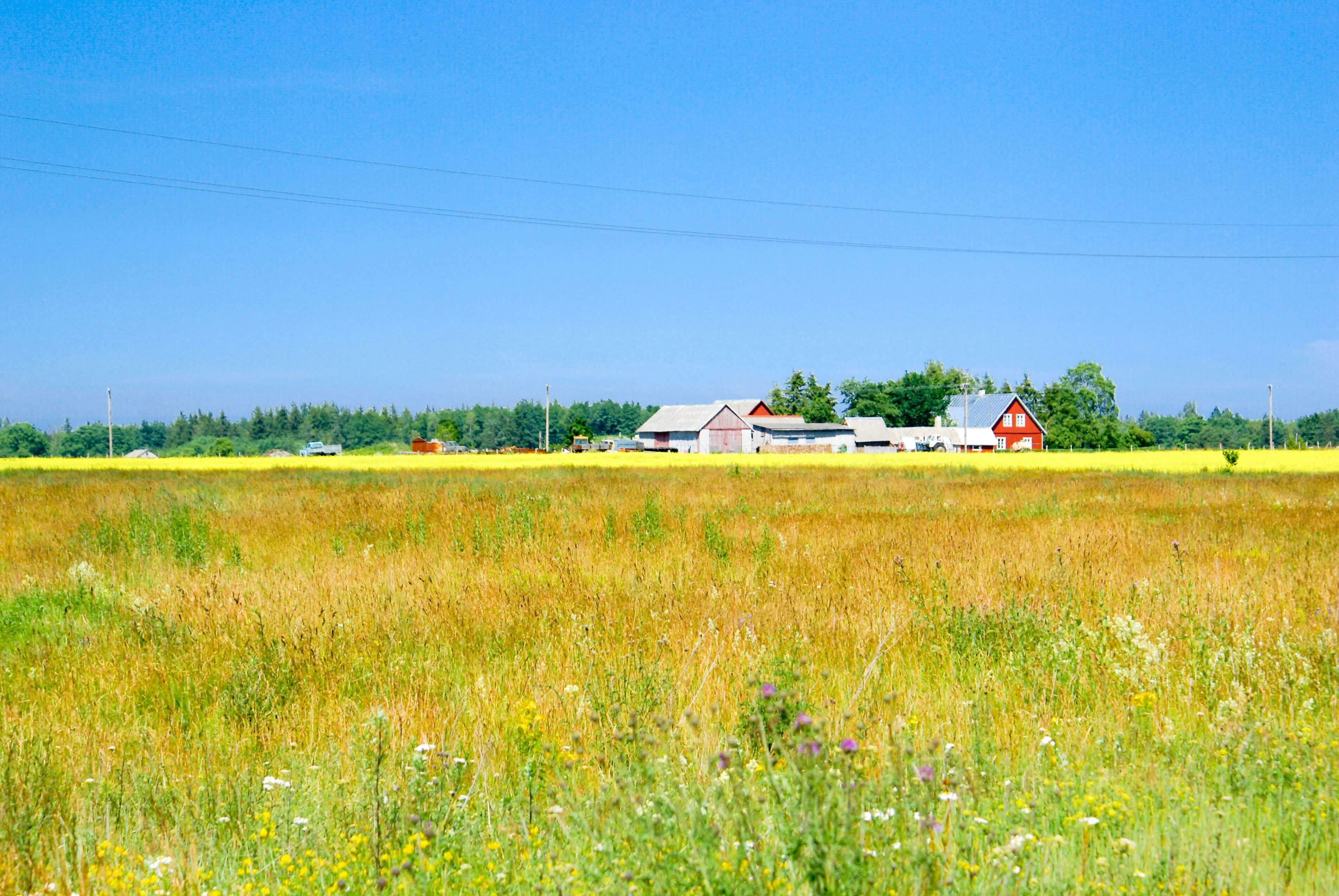 Homes located in the countryside