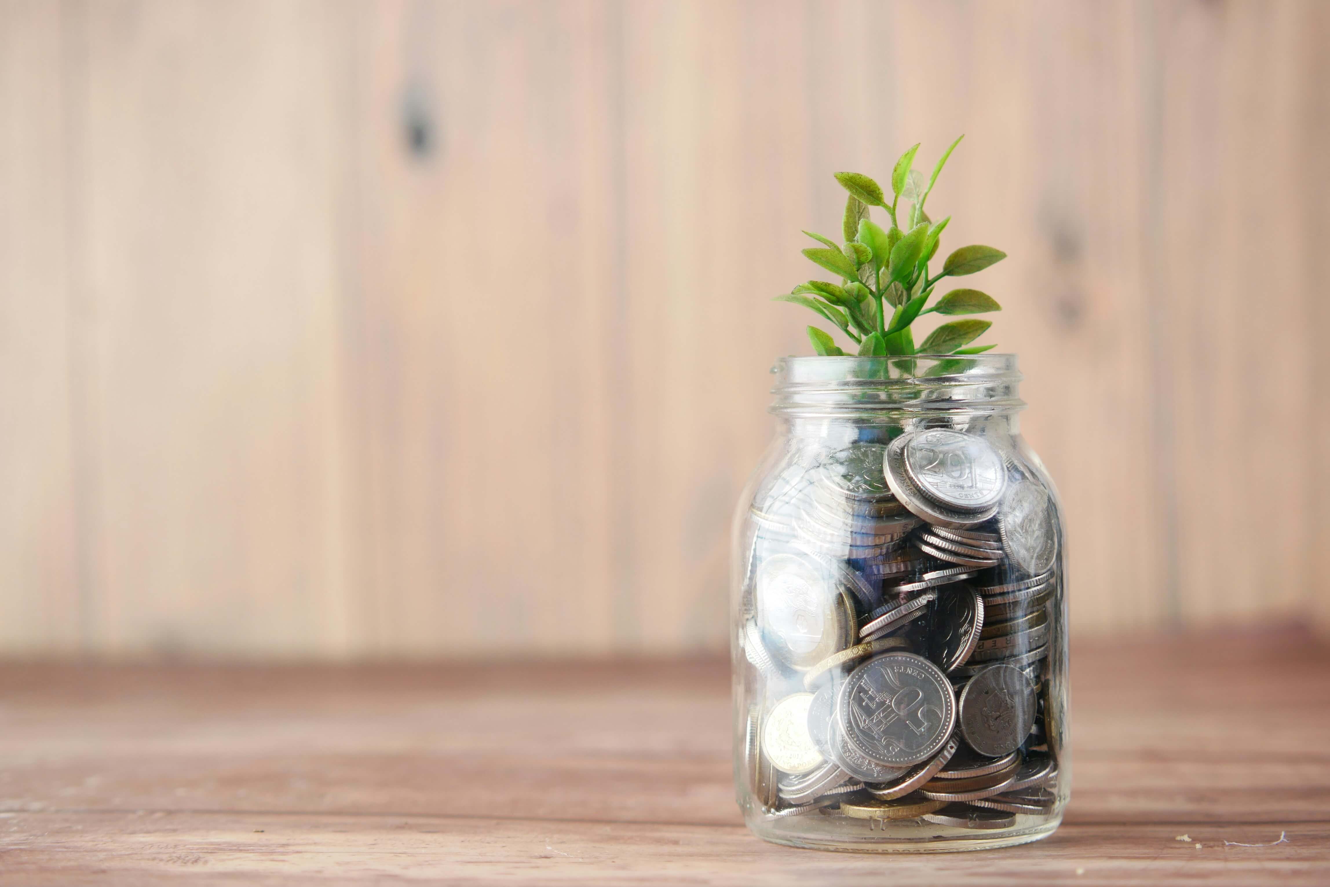 Jar full of coins with a plant growing from it